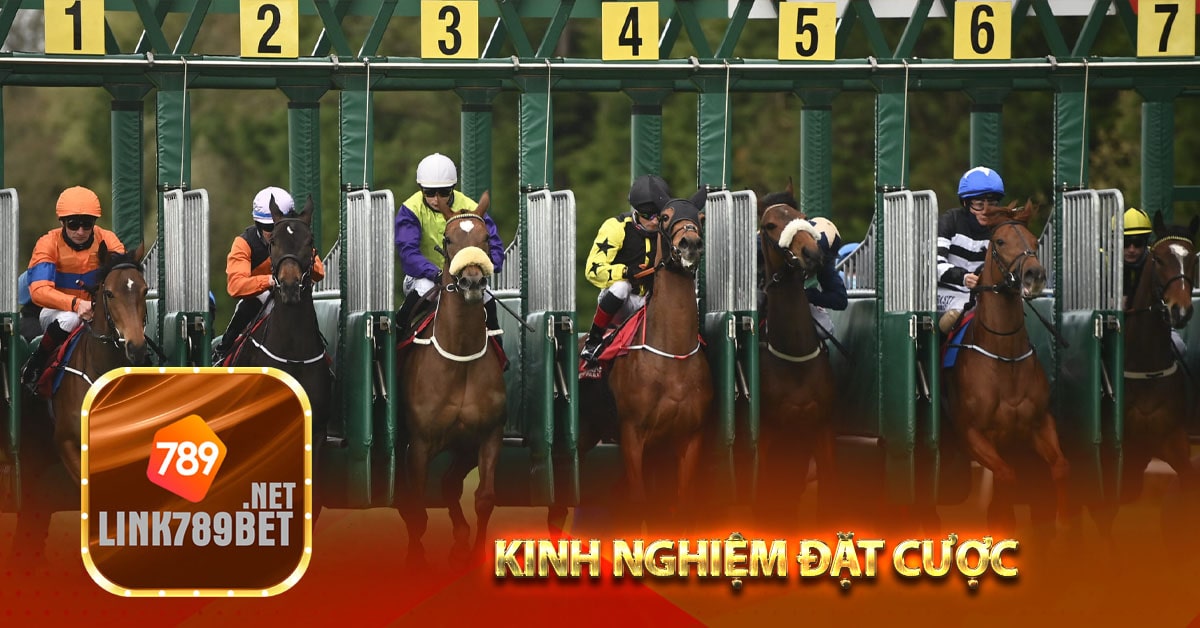 Hướng dẫn tạo tài khoản 789bet và kinh nghiệm đặt cược